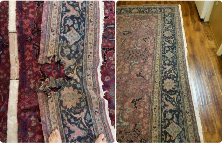 Rug Botic (9)